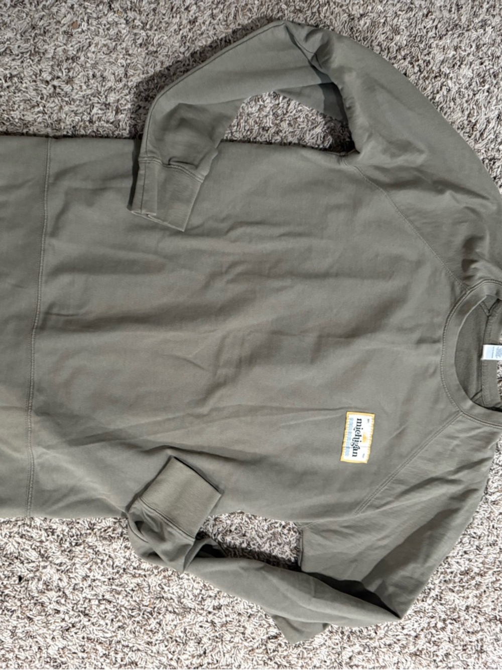 Olive Long Sleeve Tee Michigan